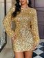 Sequin Long Sleeve Bodycon Mini Dress