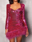 Sequin Feather Trim Mini Dress