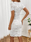 Round Neck Short Sleeve Lace Dress