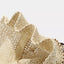 c216c684-e212-47ce-bf68-121c2ac71a02-Max-Origin
