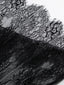 c308e2138085496bba194eae5e86eb2b-Max-Origin