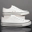 Lace Up Round Toe Canvas Sneakers